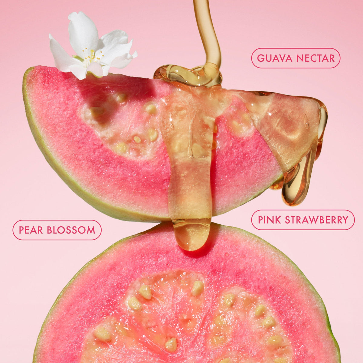 body-fragrance-mist-pink-guava-travel-size-e6 BodyButterBalmPinkGuava_3.jpg