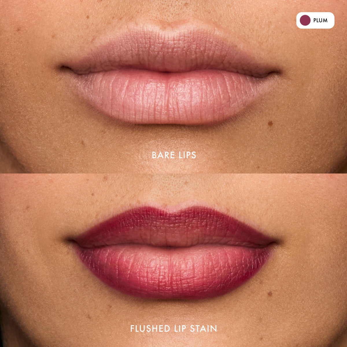 flushed-lip-stain-plum-d2 FlushedLipStain_Plum_B_A.jpg