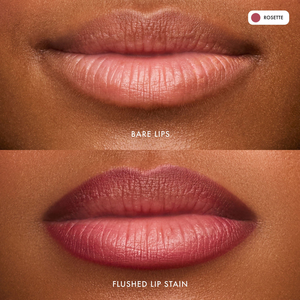 flushed-lip-stain-rosette-e2 FlushedLipStain_Rosette_B_A.jpg