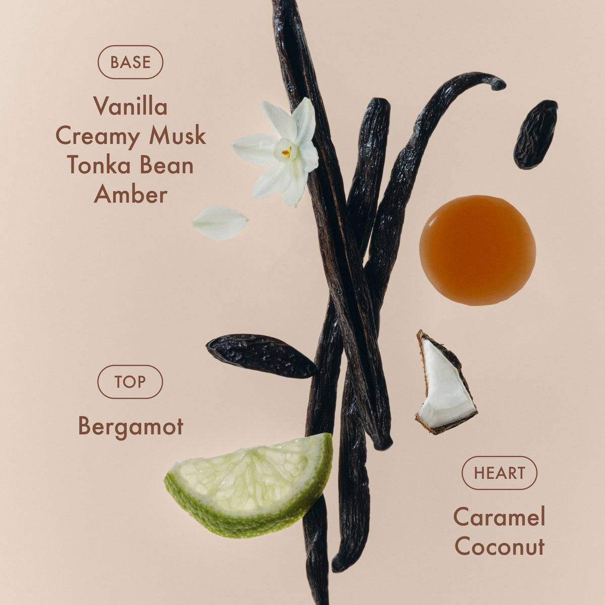 sunlit-vanillatm-eau-de-parfum-a8 SunlitVanilla_4.jpg